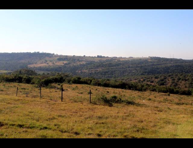 231HA FARM FOR SALE IN EAST LONDON RURAL